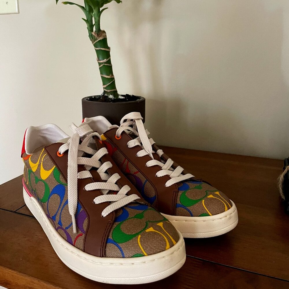 Coach LGBTQ Skateboarding Shoes